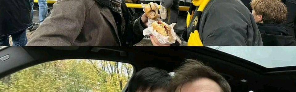 樊振东获德甲历史第一高薪！波尔：他是史上最佳球员